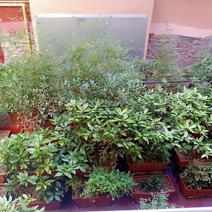 Piso Acogedor Apartamento